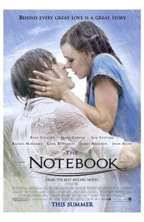 The Notebook This Summer art print