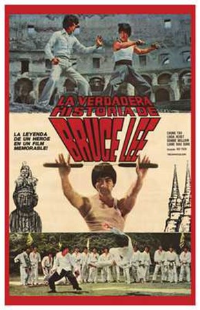 Bruce Lee: the Man  the Myth art print