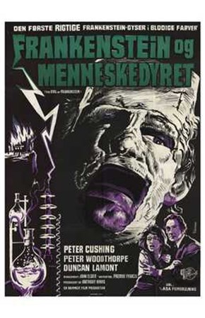 Evil of Frankenstein art print