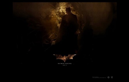 Batman Begins Bats in Cave art print