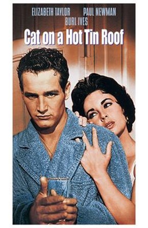 Cat on a Hot Tin Roof Taylor &amp; Newman art print