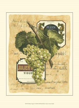 Small White Grapes I by Vision Studio art print