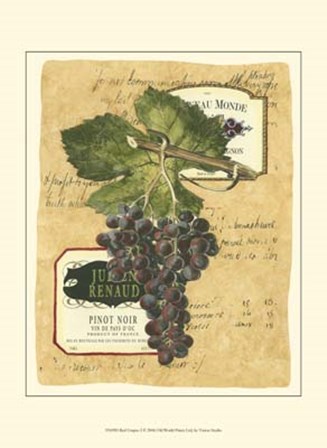 Small Red Grapes I by Vision Studio art print