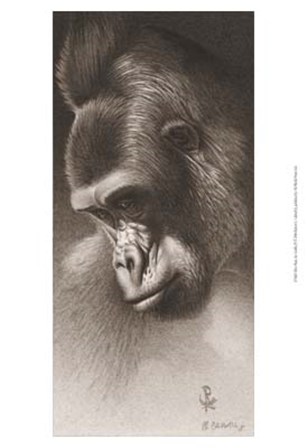 Silver Back, the Gorilla by Robert L. Caldwell art print