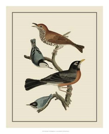 Bird Family I by A. Lawson art print