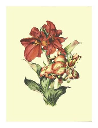 Lush Floral I by Ernest-Adolphe Guys art print