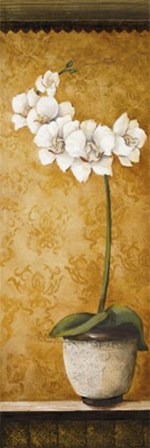 Hanna's Orchids II by Susan Osborne art print