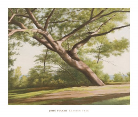 Leaning Tree, 2003 by John Folchi art print