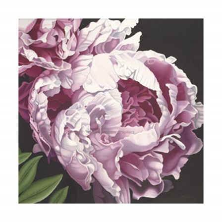 Peony II by Elizabeth Hellman art print