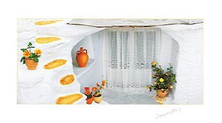 Orange Pot with Lace Curtains by George Meis art print