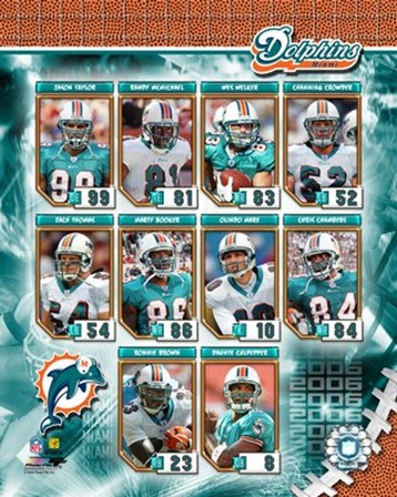 2006 - Dolphins Team Composite art print