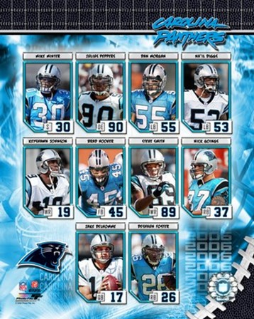 2006 - Panthers Team Composite art print
