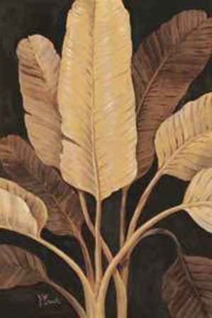 Traveller Palm by Paul Brent art print