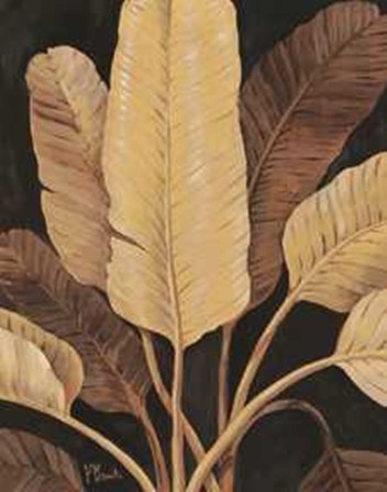 Traveller Palm - Mini by Paul Brent art print