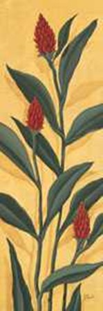 Red Ginger by Paul Brent art print