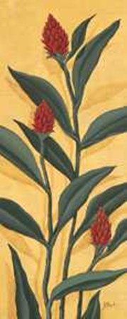 Red Ginger - Mini by Paul Brent art print