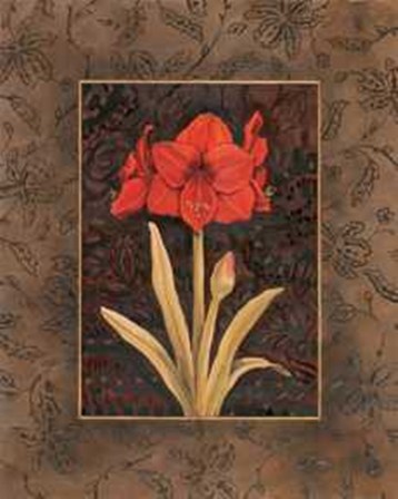 Damask Amaryllis by Paul Brent art print