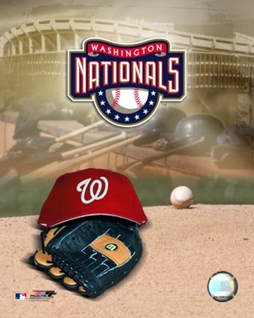 2007 - Nationals Logo art print