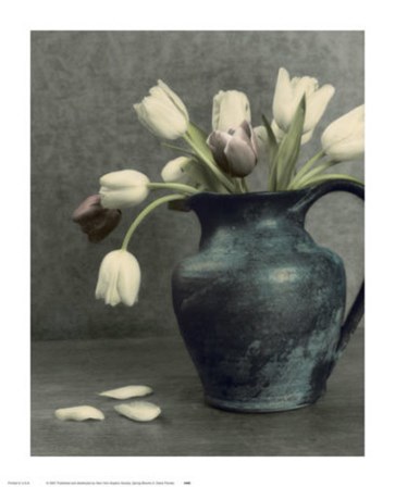 Spring Blooms II by Dianne Poinski art print