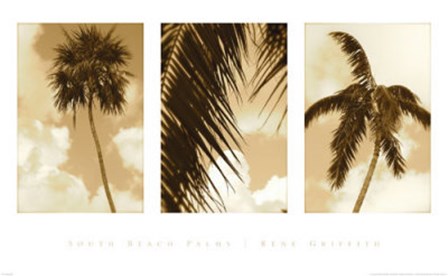 South Beach Palms by Rene Griffith art print
