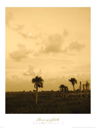 Viera Dusk I by Rene Griffith art print
