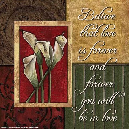 Spice 4 PatchBelieve that Love by Debbie DeWitt art print