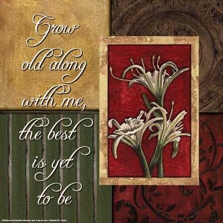 Spice 4 PatchGrow Old with Me by Debbie DeWitt art print