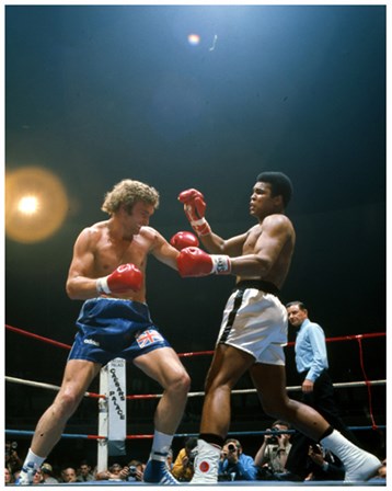 Muhammad Ali vs. Joe Bugner #288 art print