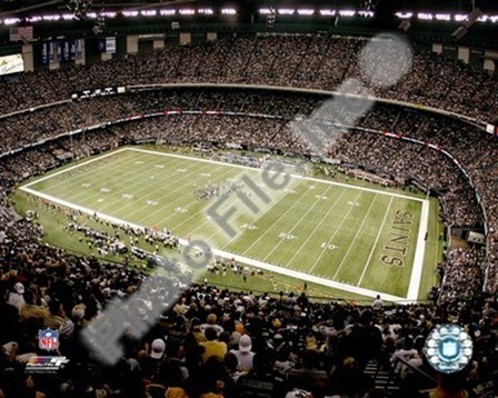 Louisiana Superdome (Saints)  2007 art print