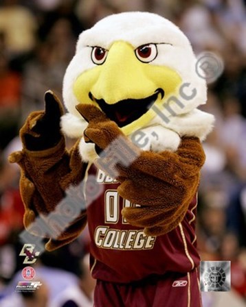 Baldwin, The Boston College Eagles Mascot 2007 art print