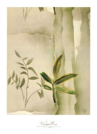 Vizcaya Ferns II by Muriel Verger art print