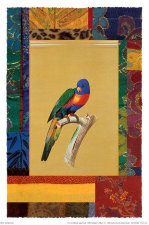 Australian Parrot by Jaggu Prasad art print