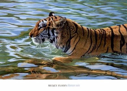 Afternoon Swim by Mickey Flodin art print