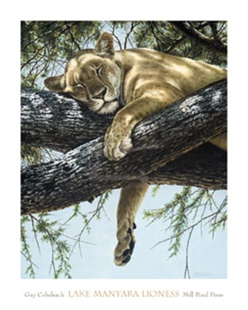Lake Manyara Lioness by Guy Coheleach art print