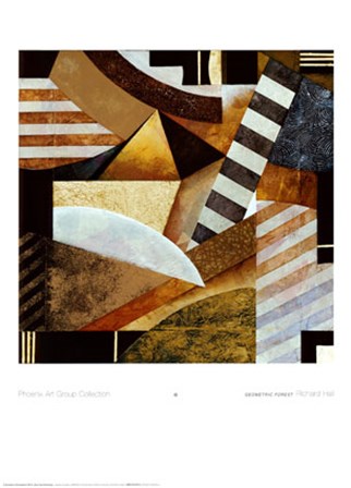 Geometric Forest by Richard Hall art print