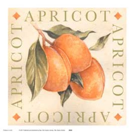 Apricot by Michael Alexander art print