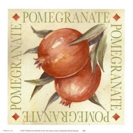 Pomegranate by Michael Alexander art print