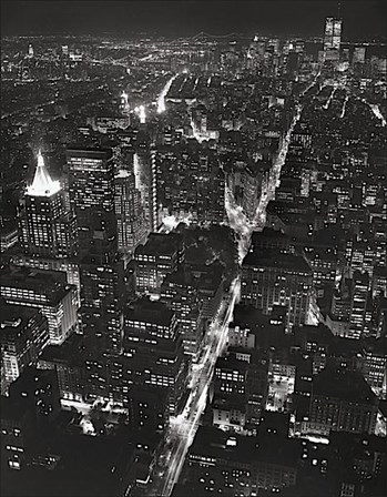 Night View of Lower Manhattan by Christopher Bliss art print