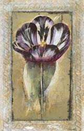 Tulipa art print