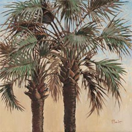 Twin Palms - Mini by Paul Brent art print