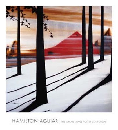 To Dream by Hamilton Aguiar art print