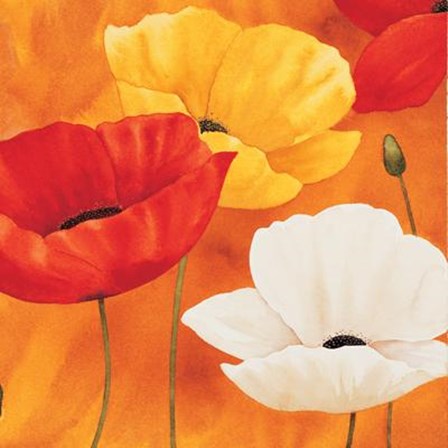 Festa Di Papaveri by Maria Grazia Luffarelli art print