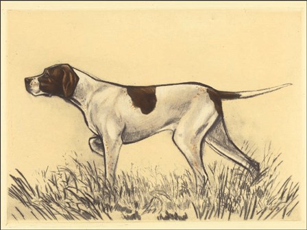 Hunting Dogs-Pointer by Andres Collot art print