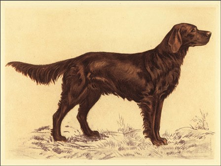 Hunting Dogs-Setter by Andres Collot art print