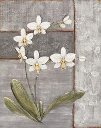 Orchid Shimmer II by O. Braun art print