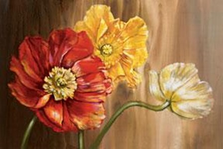 Poppies by Selina Werbelow art print