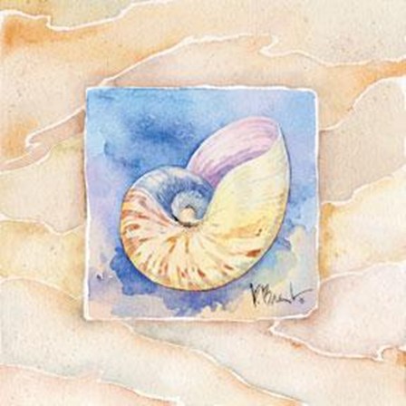 Nautilus - Mini by Paul Brent art print