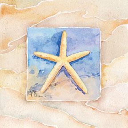 Starfish - Mini by Paul Brent art print
