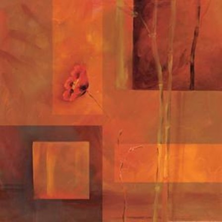 Goa Poppy I by Paul Brent art print