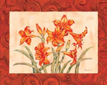 Linen Scroll Amaryllis by Paul Brent art print